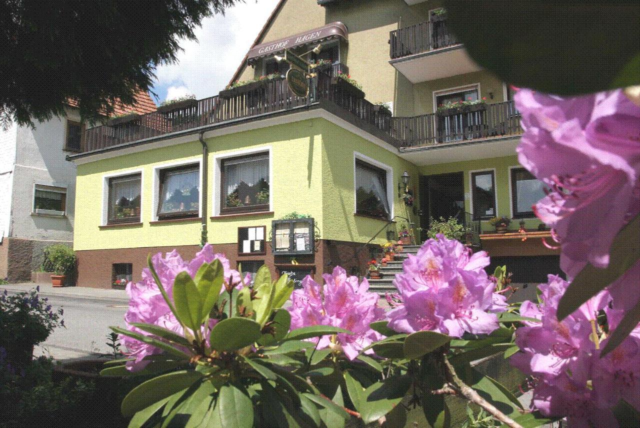 Landgasthof Hagen Otel Grasellenbach Dış mekan fotoğraf